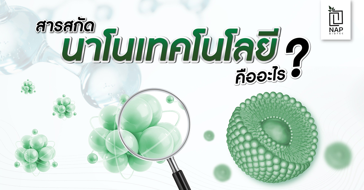สารสกัดนาโนเทคโนโลยีคืออะไร - NAP Biotec Co., Ltd. สารสกัดนาโนเทคโนโลยีคืออะไร - Nap Biotec Co., Ltd.