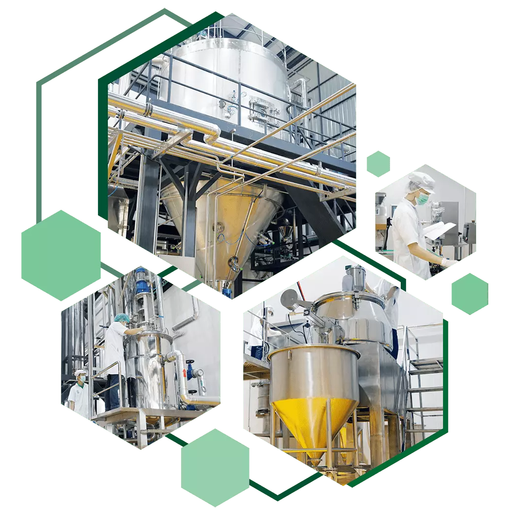 About Napbiotec